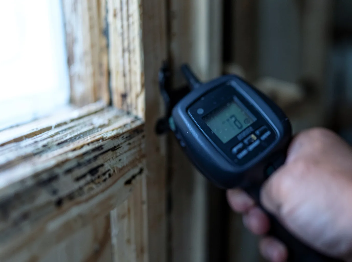 Moisture Inspection And Documentation in Columbus, GA